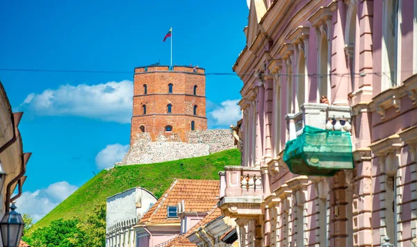 Torre Castelo Gediminas Vilnius Dia Ensolarado Verão Lituânia — Fotografia de Stock