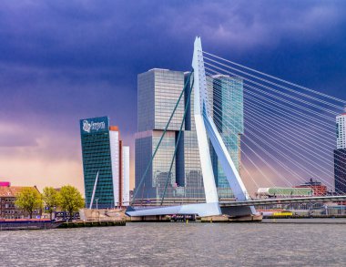 ROTTERDAM, NETHERLANDS - 29 Nisan 2015: Nehir üzerindeki Erasmus Köprüsü