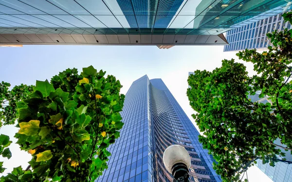 Wolkenkratzer Umgeben Von Bäumen Blick Den Himmel Geschäfts Und Unternehmenskonzept — Stockfoto