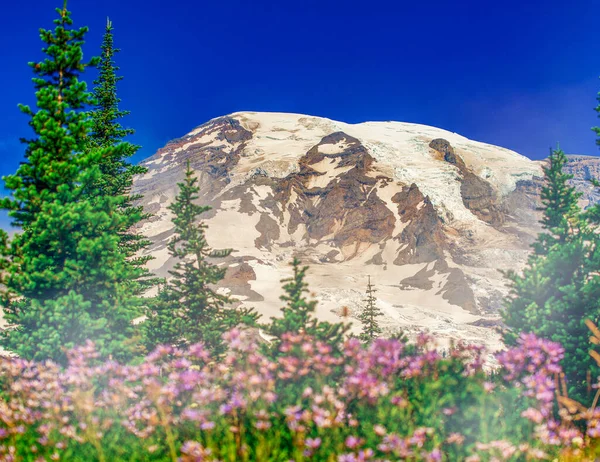 Monte Rainier Com Pico Nevado Belo Dia Ensolarado Washington Eua — Fotografia de Stock