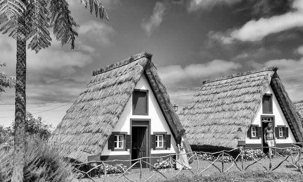 ポルトガルのマデイラ島 2022年9月6日 ポルトガルのマデイラ島の農村部の伝統的な家屋の村の風景 美しい晴れた日のサンタナ市 — ストック写真