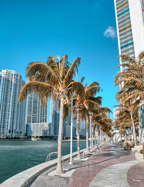 Färggranna Gatorna Miami Solig Dag — Stockfoto