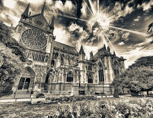 Notre Dame Exteriör Utsikt Från Jean Xxiii Park Paris Frankrike — Stockfoto