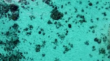 Surin Adaları, Tayland. Göl ve ormanın yukarıdan görünüşü. Mu Ko Surin Milli Parkı.