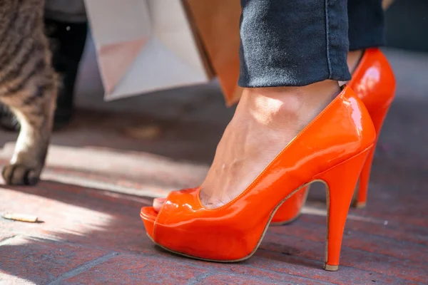 Concept Mode Chaussure Orange Avec Talons Hauts Chat Sur Fond — Photo