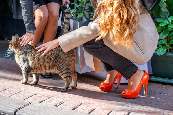 Dvě Dívky Nakupování Dotýkání Kočka Ulicích Města — Stock fotografie