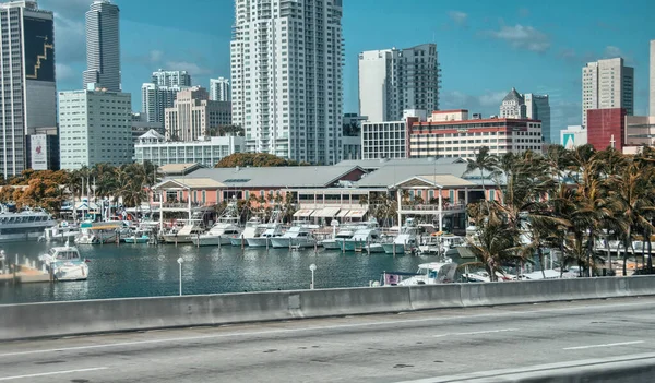 Miami Florida Vackra Silhuett Färger Vintern — Stockfoto