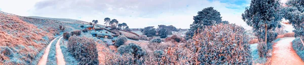 Hobbiton Nowa Zelandia Panoramiczny Widok Lotu Ptaka Hobbiton Village Miejsce — Zdjęcie stockowe