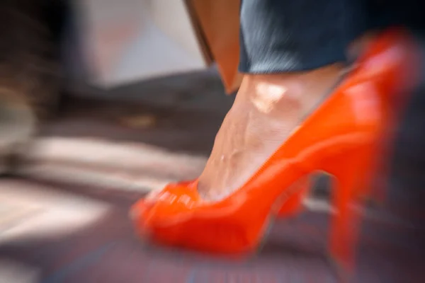Modeconcept Oranje Schoen Met Hoge Hakken Een Kat Achtergrond — Stockfoto