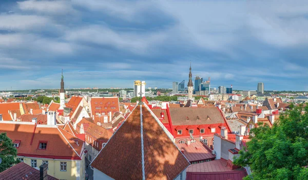 Panoramic Aerial View Tallinn City Hill Estonia — Stockfoto