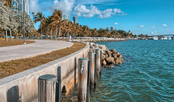 Bunte Straßen Von Miami Einem Sonnigen Tag — Stockfoto