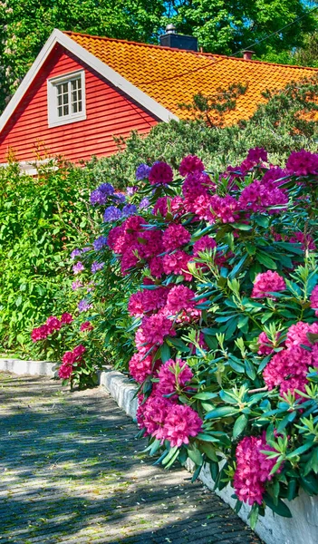 Oslo Noruega Hermosos Jardines Vegetación Temporada Verano — Foto de Stock