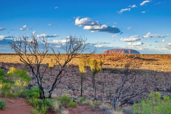 オーストラリアアウトバック植生と赤い岩 ノーザンテリトリー — ストック写真