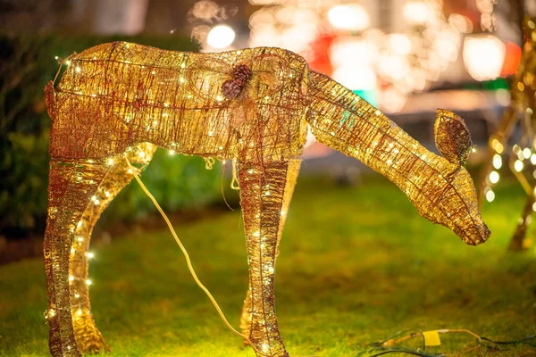 驯鹿形状的光在花园里 圣诞假期的概念 — 图库照片