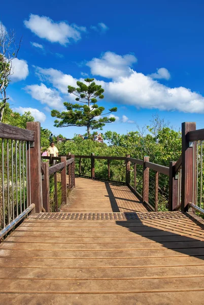 木径与桥通向一个美妙的热带景色 — 图库照片