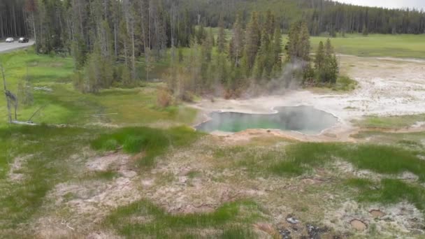 Yellowstone Geyser Visto Dall Alto Piscina Mezzo Alla Foresta Wyoming — Video Stock