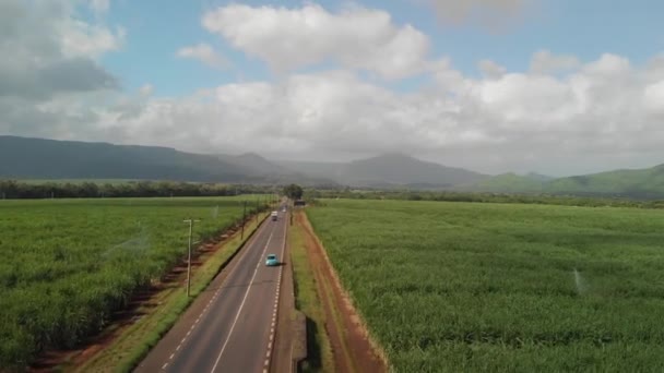 Cañas Azúcar Mauricio Con Sistema Riego Tráfico Por Carretera Vista — Vídeos de Stock