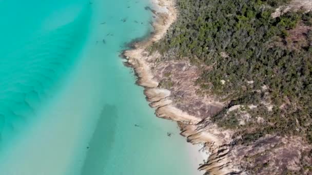 Veduta Aerea Delle Spiagge Del Queensland Australia Isole Whitsunday Arcipelago — Video Stock