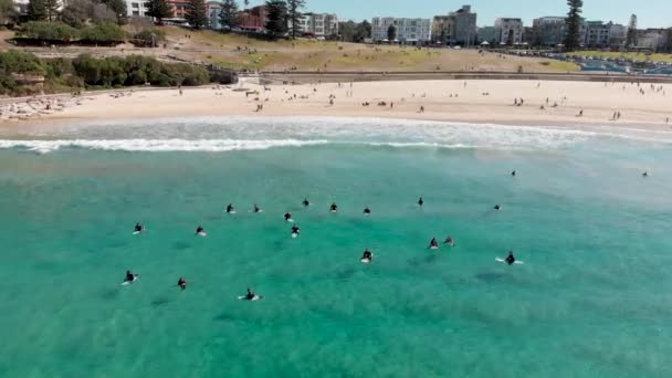 Vista Aérea Costa Bondi Beach Com Surfistas Ondas Sydney Austrália — Vídeo de Stock