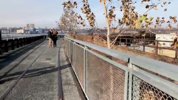 New York City December 2018 Tourists Walk High Line City — Stock Video