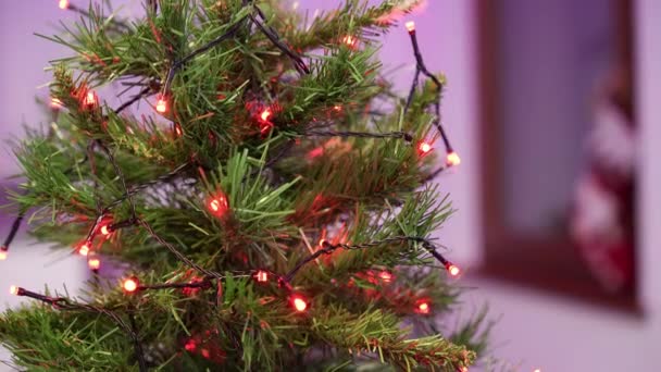 Vánoční Stromeček Světla Synchronizována Moderním Domě — Stock video