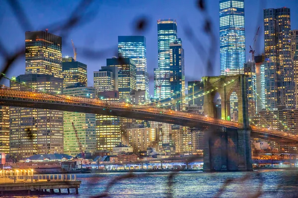 Бруклинский Мост Ночные Огни Манхэттена Зимних Деревьев Нью Йорк — стоковое фото