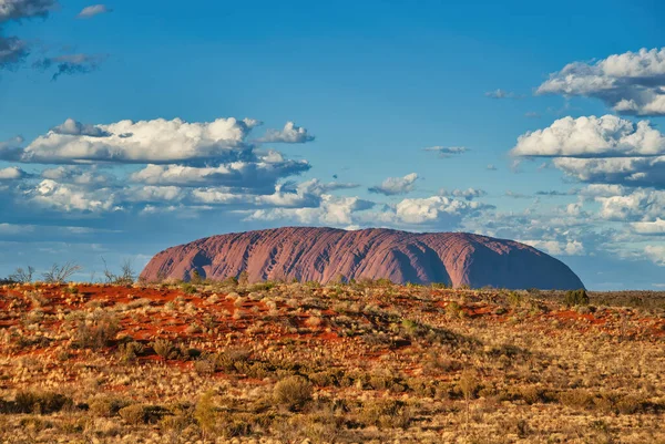 Australian Outback Vegetation Red Rocks Northern Territory — Stock Photo, Image