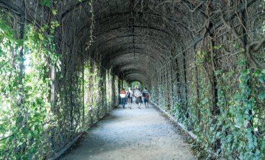 Yapraklar tarafından yapılan bir tünelin içindeki şehir parkına gelen insanların bulanık hareketleri..