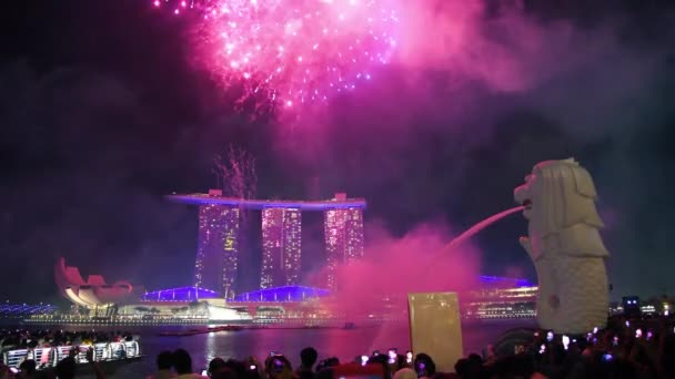 新加坡 2019年12月31日 马里纳湾地区的大型烟花表演 观众纷纷观看 — 图库视频影像