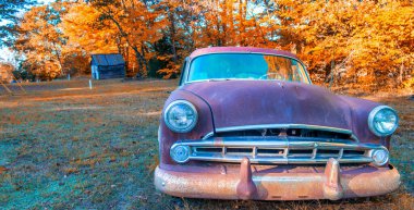 Eski model araba terk edilmiş ve paslanmış kırsal alanda, yeşillik mevsiminde..