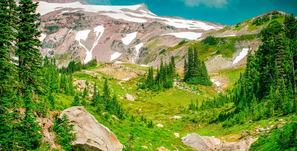 Mount Rainier Met Besneeuwde Piek Een Prachtige Zonnige Dag Washington — Stockfoto