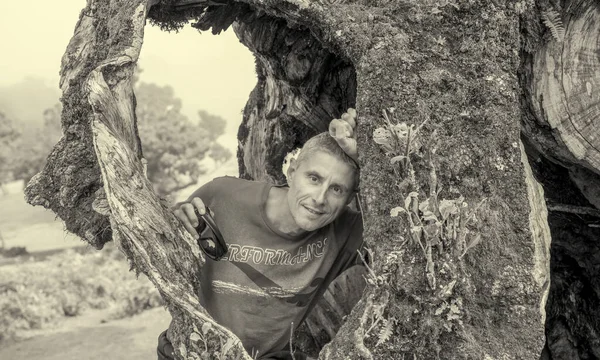 Портрет Человека Обрамленный Корнями Ствола Дерева — стоковое фото