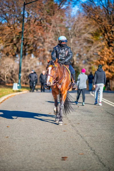 2018年12月7日 纽约市 一个美丽的冬季早晨 警察骑着马沿着中央公园的长廊 — 图库照片