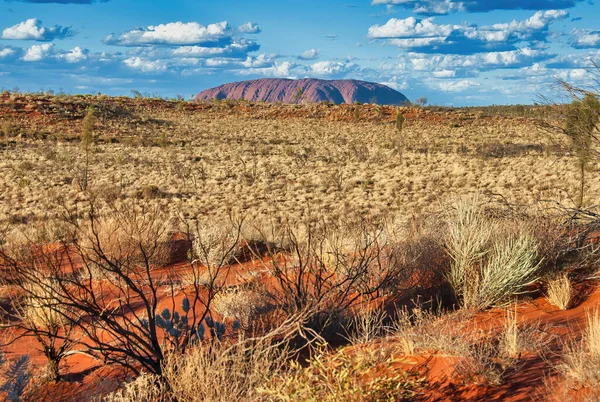 Vegetación Del Interior Australiano Rocas Rojas Territorio Del Norte —  Fotos de Stock