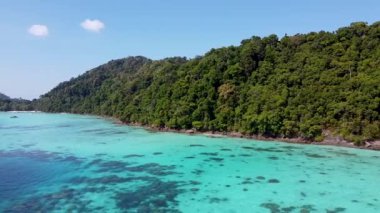 Surin Adaları, Tayland. Göl ve ormanın havadan görünüşü. Mu Ko Surin Milli Parkı.