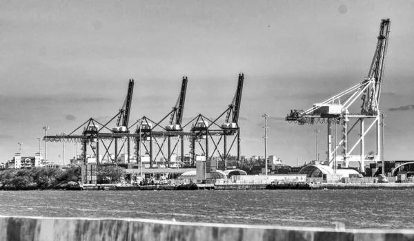 Deniz Endüstriyel Limanı Ndaki Konteyner Terminali Deniz Nakliye Endüstriyel Limanının — Stok fotoğraf