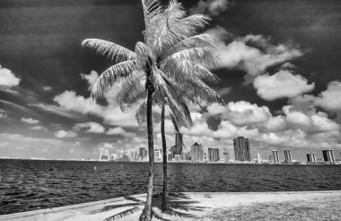 Infrared view of Miami skyline from Rickenbacker Causeway, Florida.