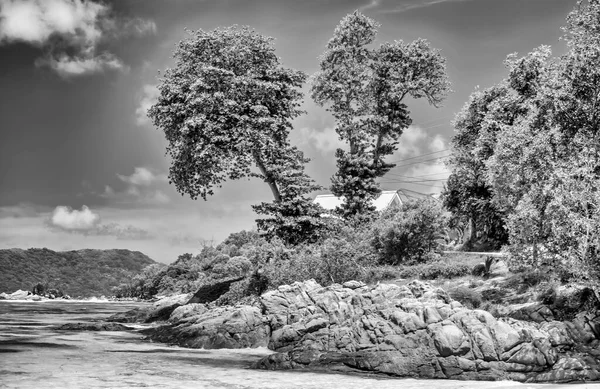 塞舌尔 一个美丽的风景如画的天堂海滩 上面有花岗岩岩石和白沙 热带风景上有碧绿的水 — 图库照片