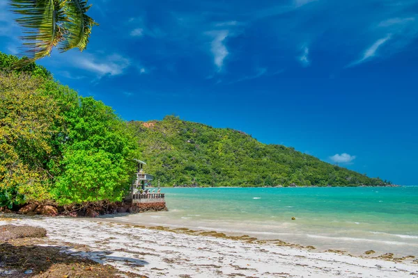Tropical Paradise Beach Beautiful Shoreline Seychelles Islands — Photo
