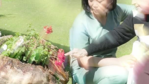 Active Female Senior Garden Helped Young Assistant Nurse — Stockvideo