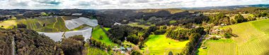 Panoramic aerial view of vineyards at sunset.