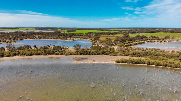 Kangaroo Island Lake Trees Aerial View Drone Australia — Stok fotoğraf
