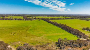 Kangaroo Island valley and trees, aerial view from drone - Australia.