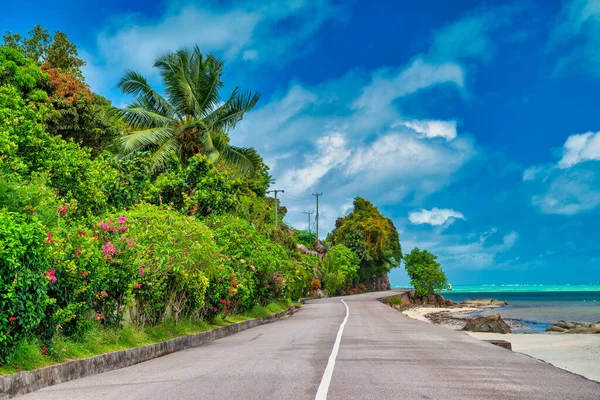 stock image Road of Seychelles Island. Crossing the island with a beautiful view.