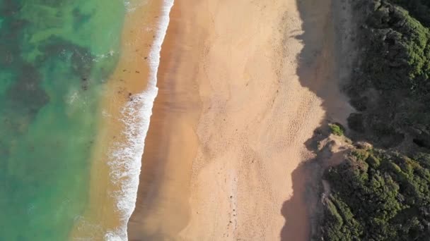 Aerial View Torquay Beach Great Ocean Road Australia — Stockvideo
