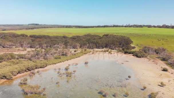 Kangaroo Island Lake Trees Aerial View Drone Australia — Stock Video