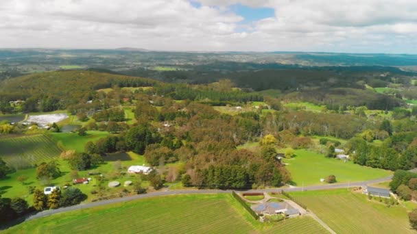 South Australia Vineyards Aerial View Drone — Stockvideo