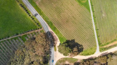 South Australia Vineyards, aerial view from drone.