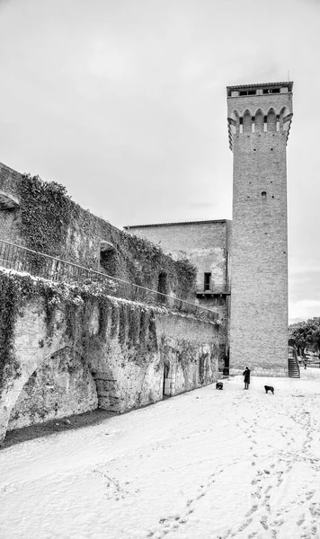 Pisa Snow Famous Citadel Tower Snowstorm — Stok fotoğraf