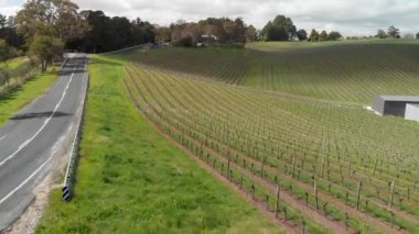 Beautiful vineyards at sunset with solar panels plant in Adelaide, Australia.
